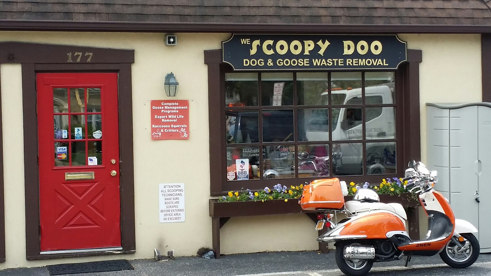 Photo of Scoopy Doo in Locust Valley City, New York, United States - 1 Picture of Point of interest, Establishment