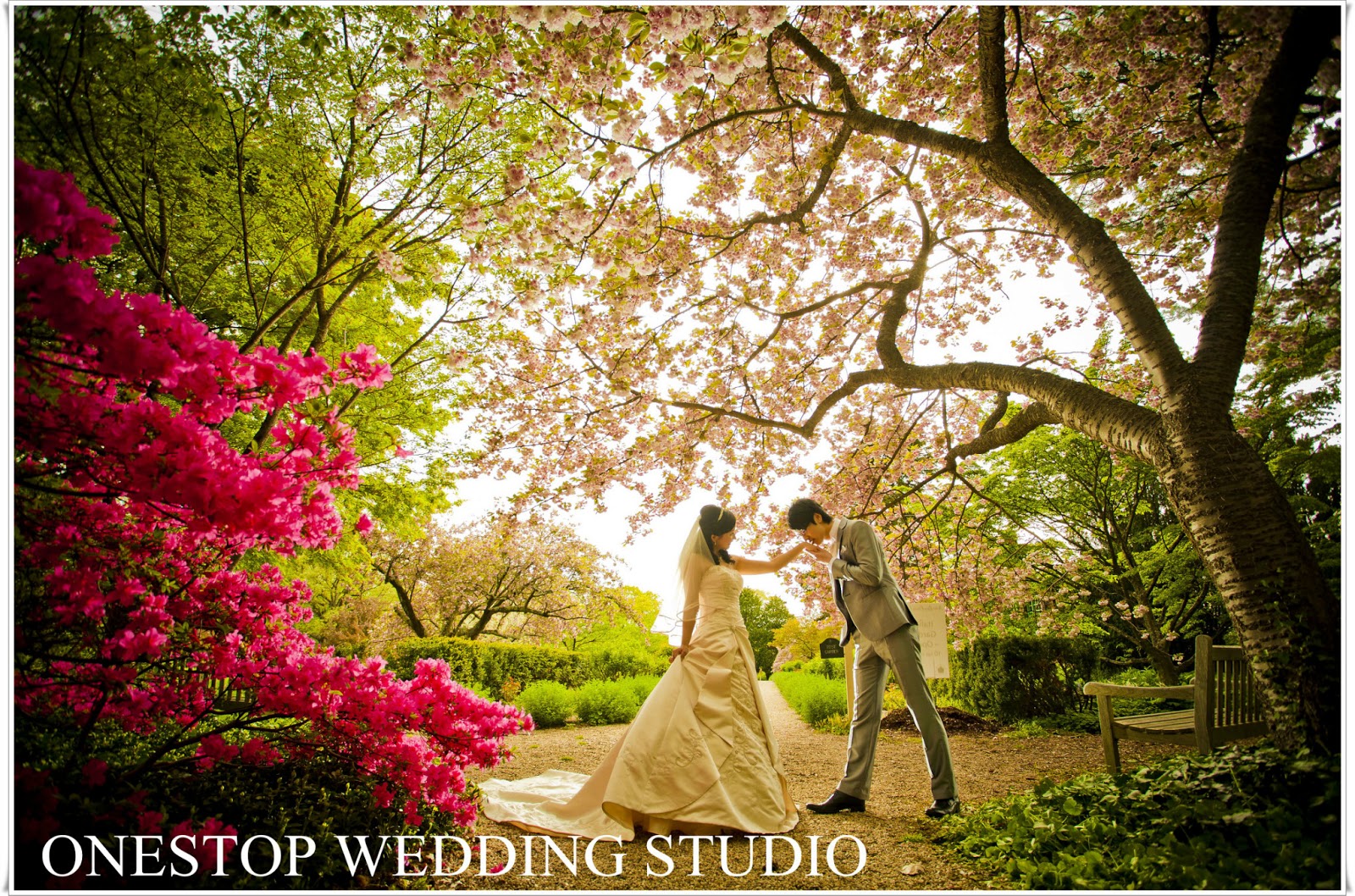Photo of Onestop Wedding Studio.INC in Brooklyn City, New York, United States - 3 Picture of Point of interest, Establishment, Store