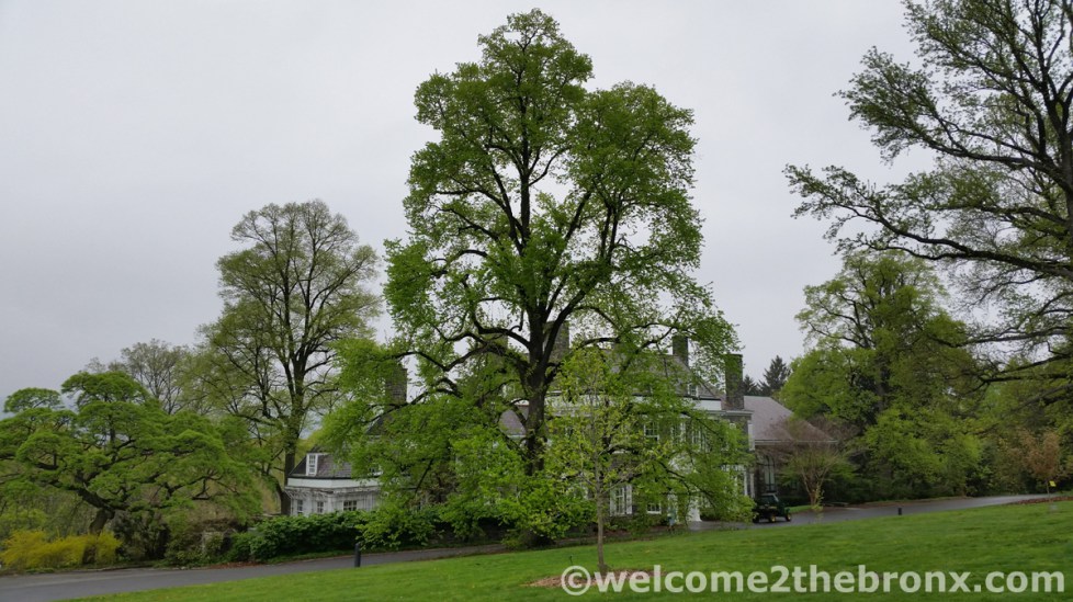 Photo of Wave Hill in Bronx City, New York, United States - 4 Picture of Point of interest, Establishment, Park, Art gallery