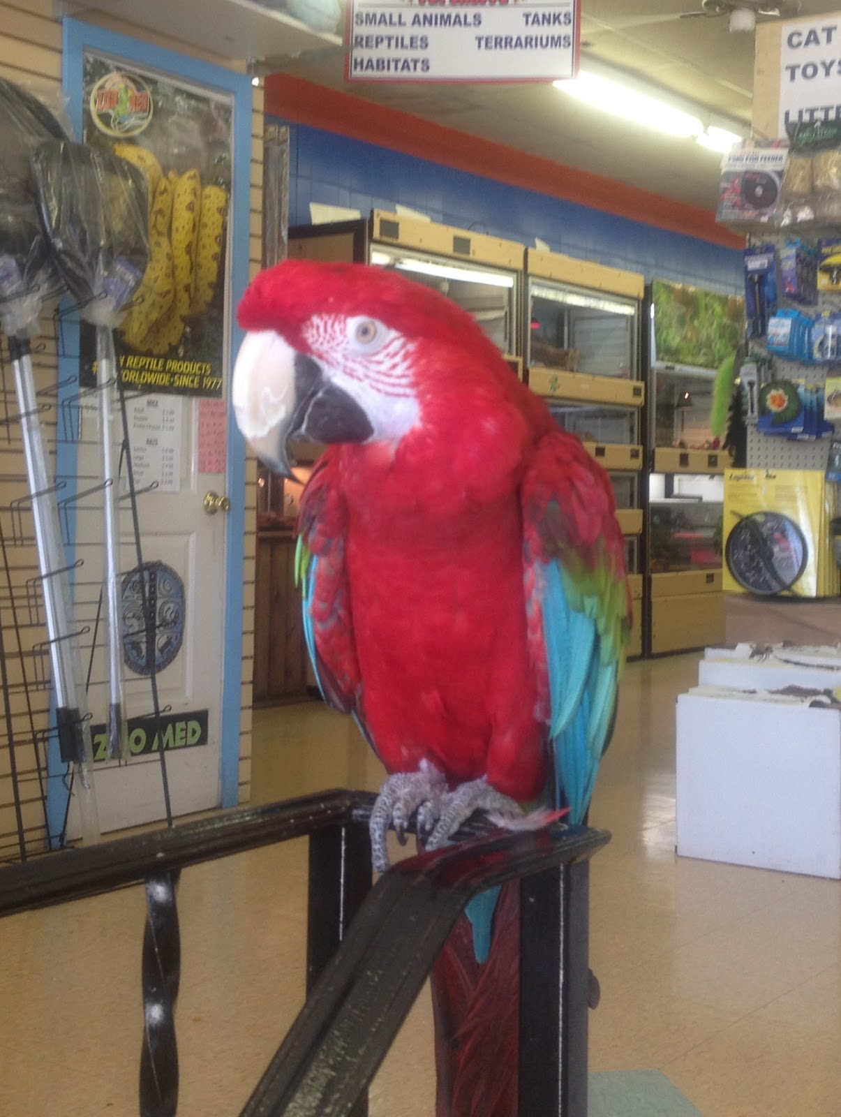 Photo of Rosalbo Pets in Staten Island City, New York, United States - 9 Picture of Point of interest, Establishment, Store, Pet store