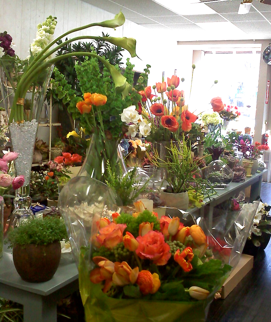 Photo of TerracottaHome in Great Neck City, New York, United States - 1 Picture of Point of interest, Establishment, Store, Florist