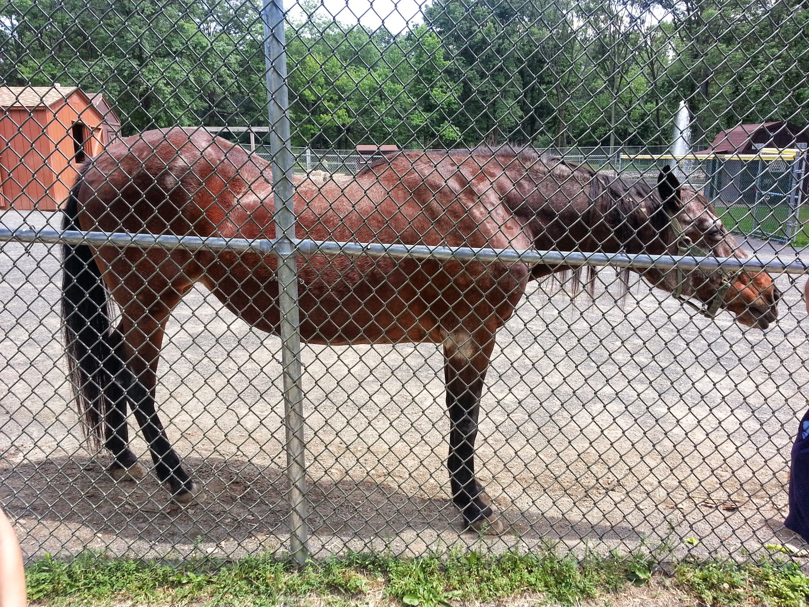 Photo of Merrill Park in Colonia City, New Jersey, United States - 3 Picture of Point of interest, Establishment, Park