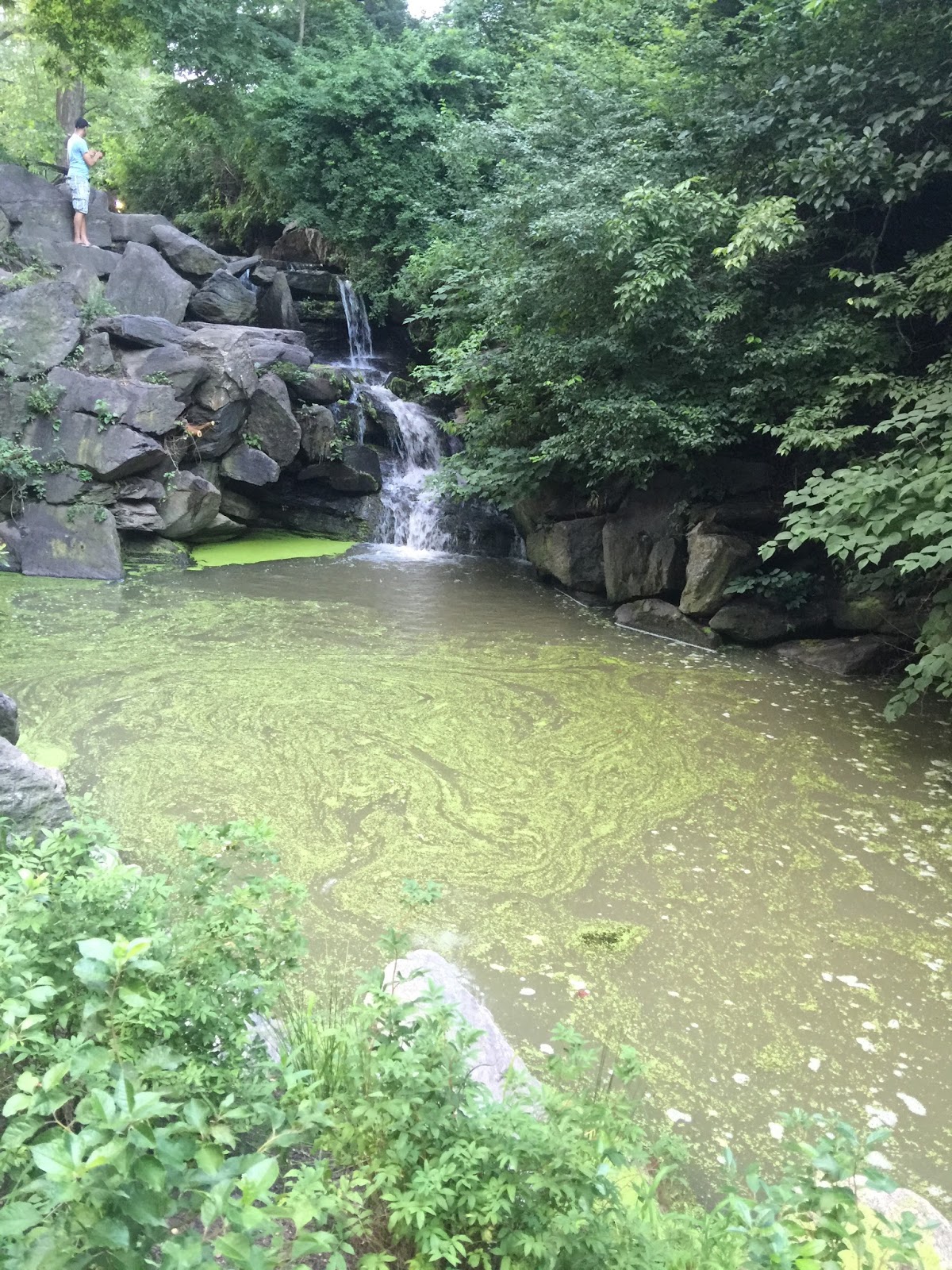 Photo of NYC Parks Enforcement Patrol in New York City, New York, United States - 1 Picture of Point of interest, Establishment, Park