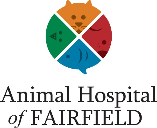 Photo of Animal Hospital of Fairfield in Fairfield City, New Jersey, United States - 5 Picture of Point of interest, Establishment, Veterinary care