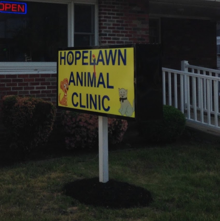 Photo of Hopelawn Animal Clinic in Fords City, New Jersey, United States - 2 Picture of Point of interest, Establishment, Veterinary care