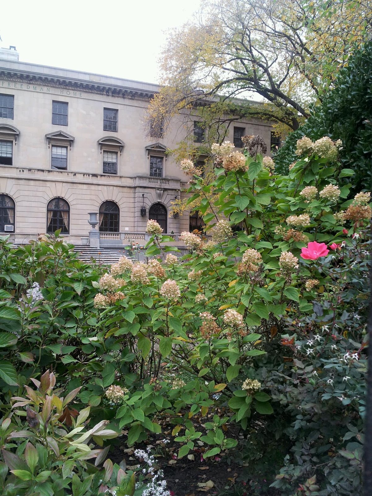 Photo of Andrew Freedman Home in Bronx City, New York, United States - 1 Picture of Point of interest, Establishment