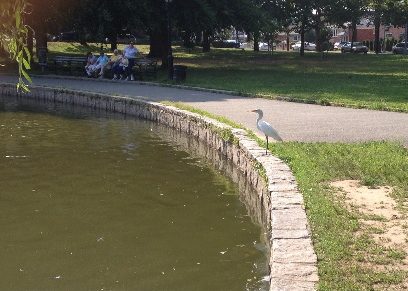 Photo of Bowne Park in Flushing City, New York, United States - 3 Picture of Point of interest, Establishment, Park