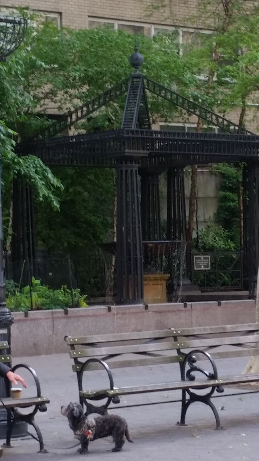 Photo of Katharine Hepburn Garden in New York City, New York, United States - 2 Picture of Point of interest, Establishment, Park