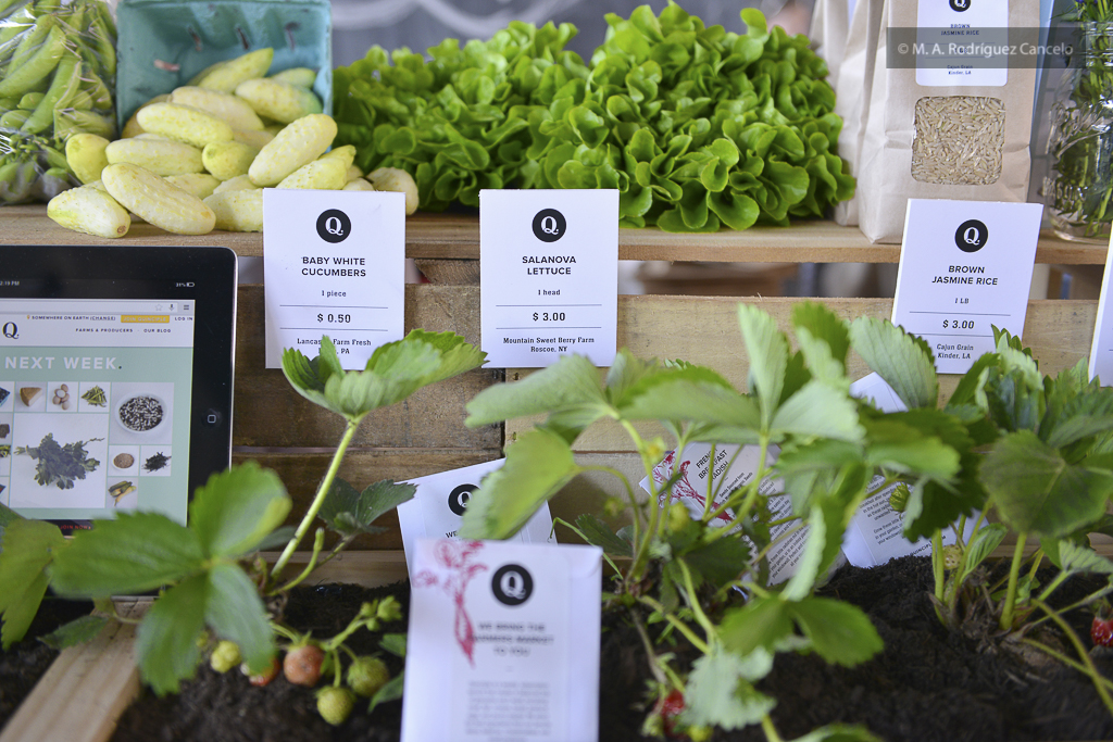 Photo of New Amsterdam Market in New York City, New York, United States - 5 Picture of Point of interest, Establishment