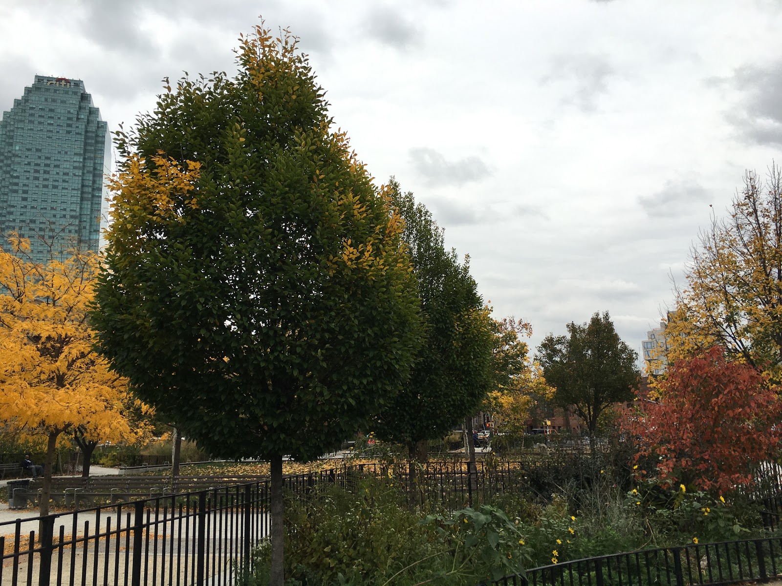 Photo of John F Murray Playground in Queens City, New York, United States - 9 Picture of Point of interest, Establishment, Park