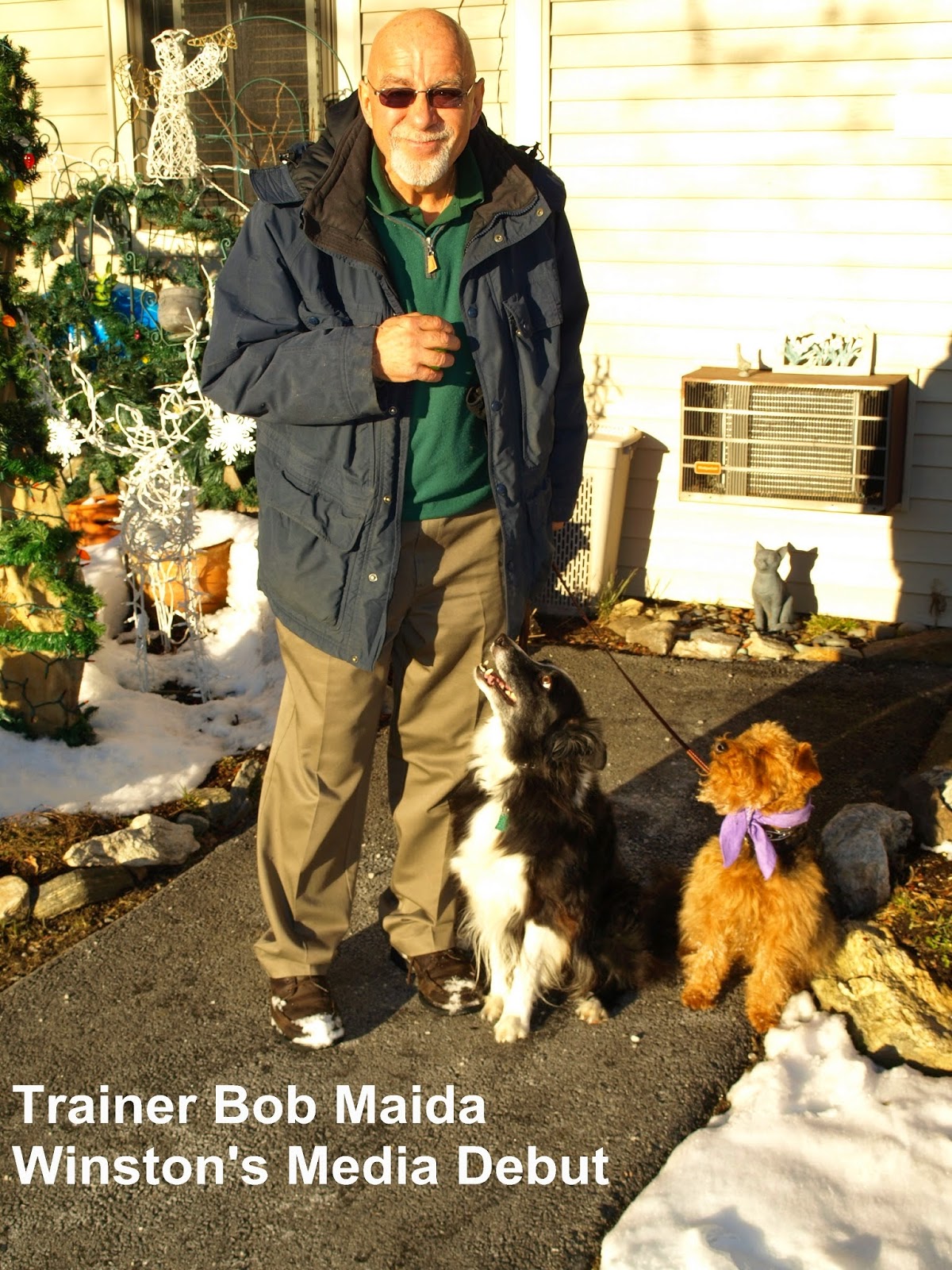 Photo of Dog Training by Bob Maida in Yonkers City, New York, United States - 6 Picture of Point of interest, Establishment