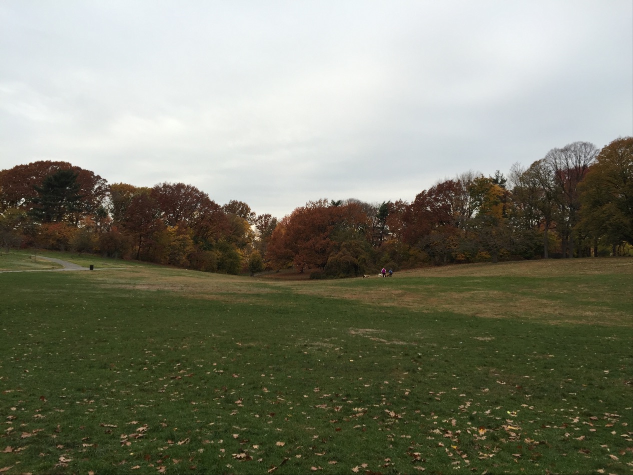 Photo of Crocheron Park in Bayside City, New York, United States - 5 Picture of Point of interest, Establishment, Park