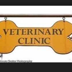 Photo of Bedford Stuyvesant Veterinary Clinic in Kings County City, New York, United States - 2 Picture of Point of interest, Establishment, Veterinary care