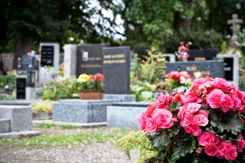 Photo of Paul Ippolito - Dancy Memorial in Caldwell City, New Jersey, United States - 5 Picture of Point of interest, Establishment, Funeral home