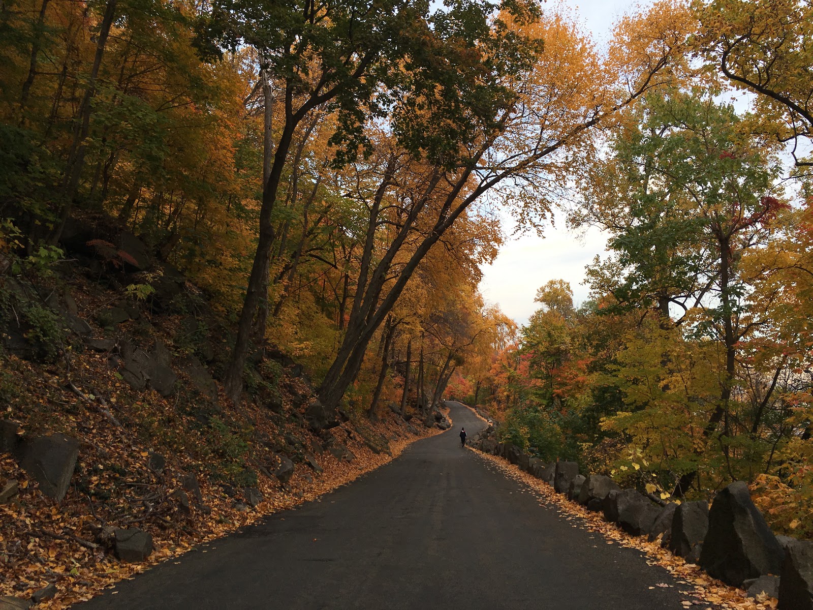 Photo of Palisades Interstate Park in Alpine City, New Jersey, United States - 6 Picture of Point of interest, Establishment, Park