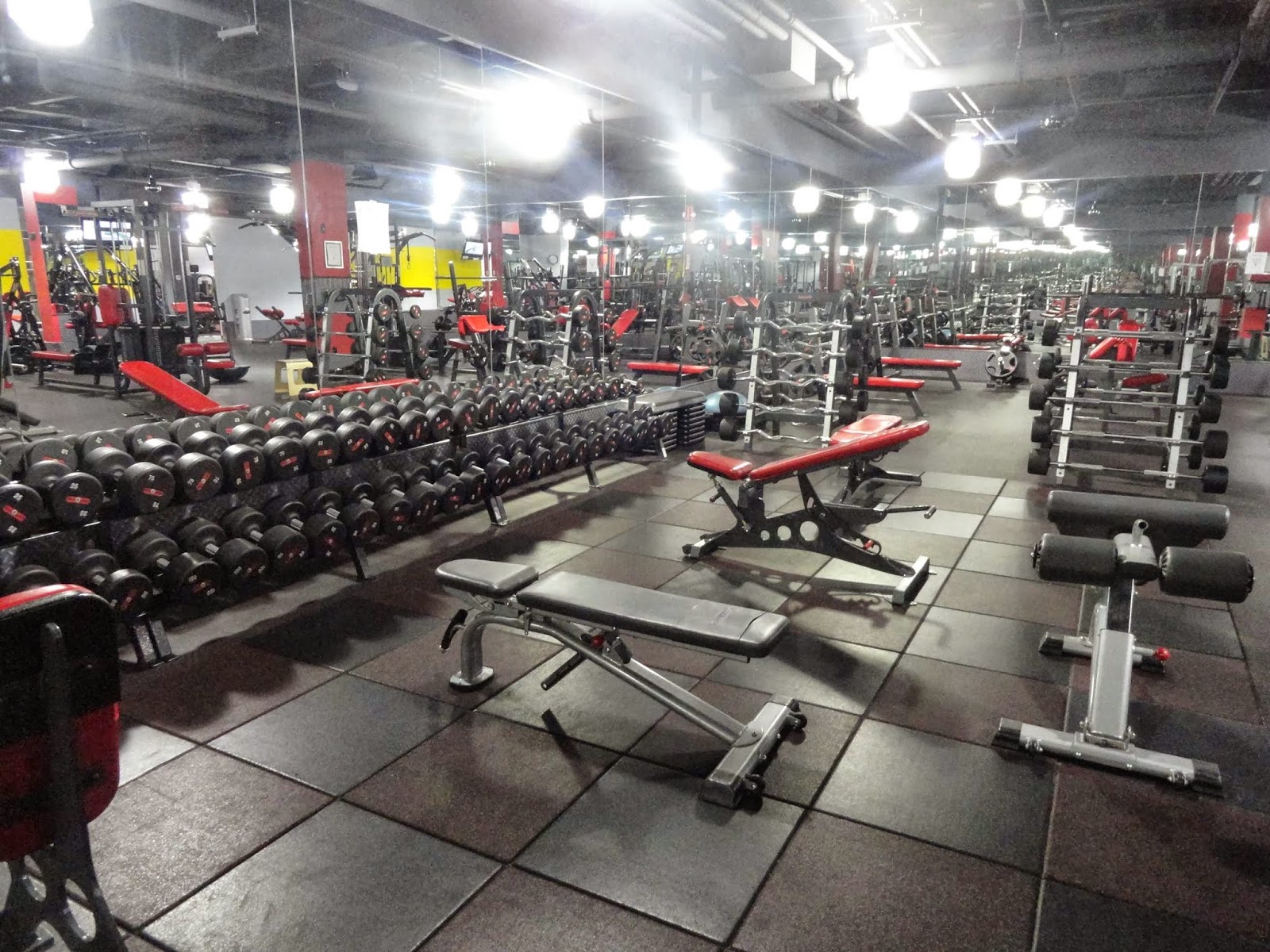 Photo of Strength and Fitness Club in Cranford City, New Jersey, United States - 1 Picture of Point of interest, Establishment, Health, Gym