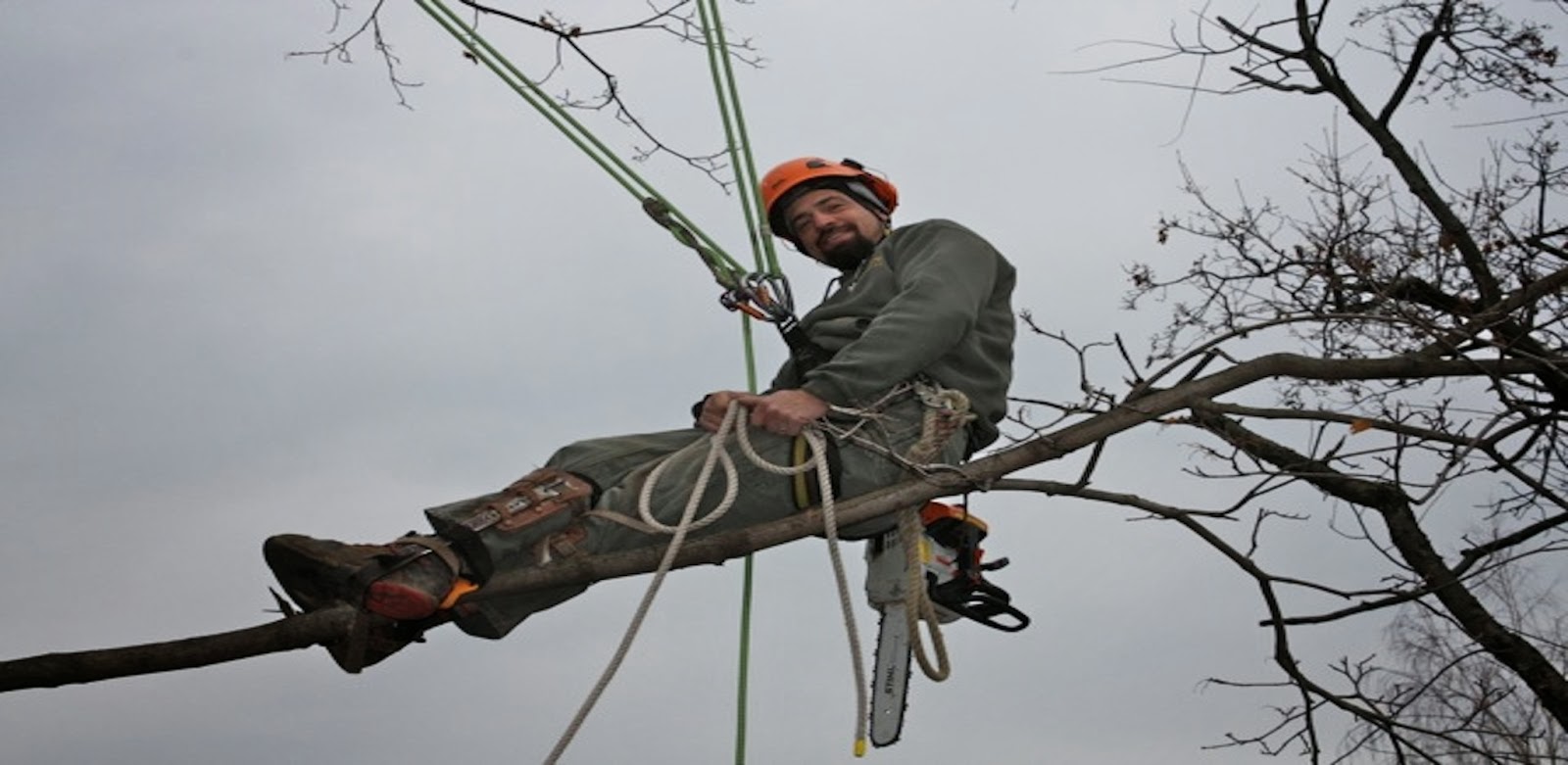 Photo of Arbor Ace Tree Service in Clifton City, New Jersey, United States - 1 Picture of Point of interest, Establishment