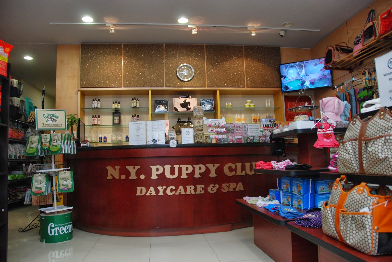 Photo of NY Puppy Club (Northern) in Queens City, New York, United States - 1 Picture of Point of interest, Establishment, Store, Pet store