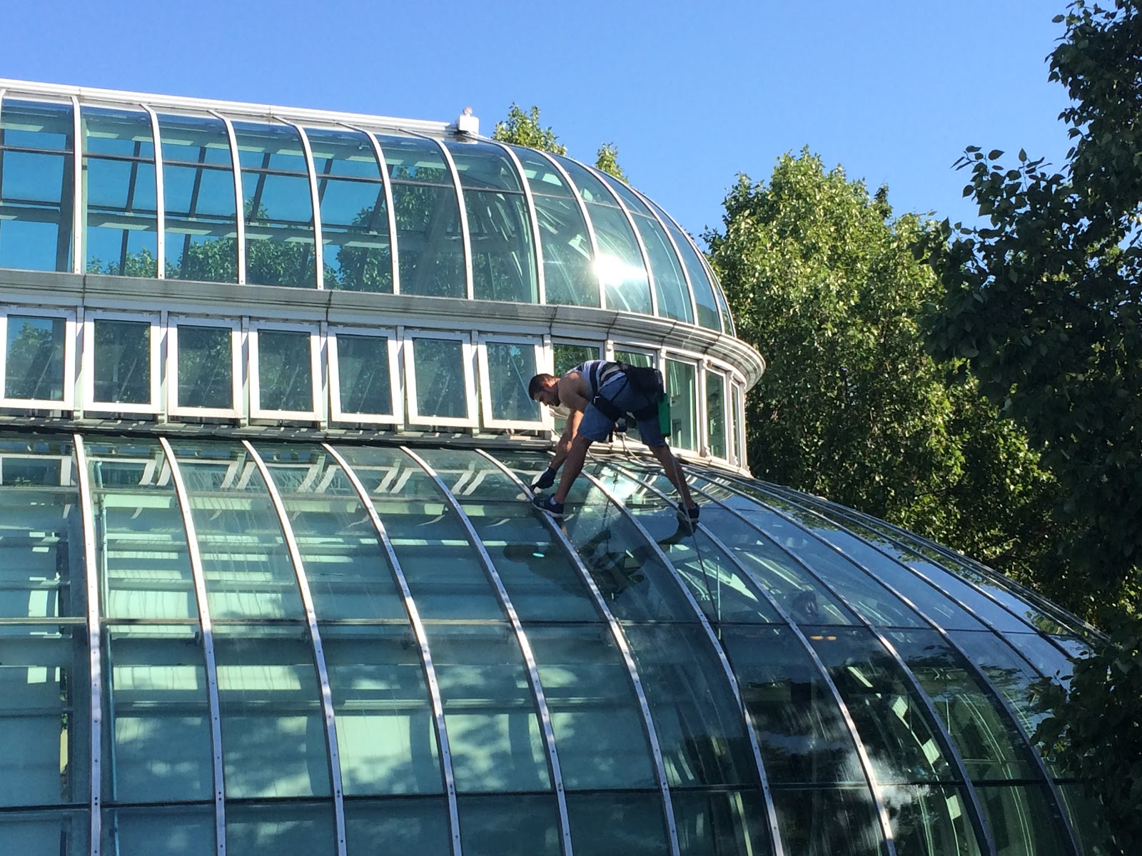 Photo of Bohemia Window Cleaning in Queens City, New York, United States - 4 Picture of Point of interest, Establishment