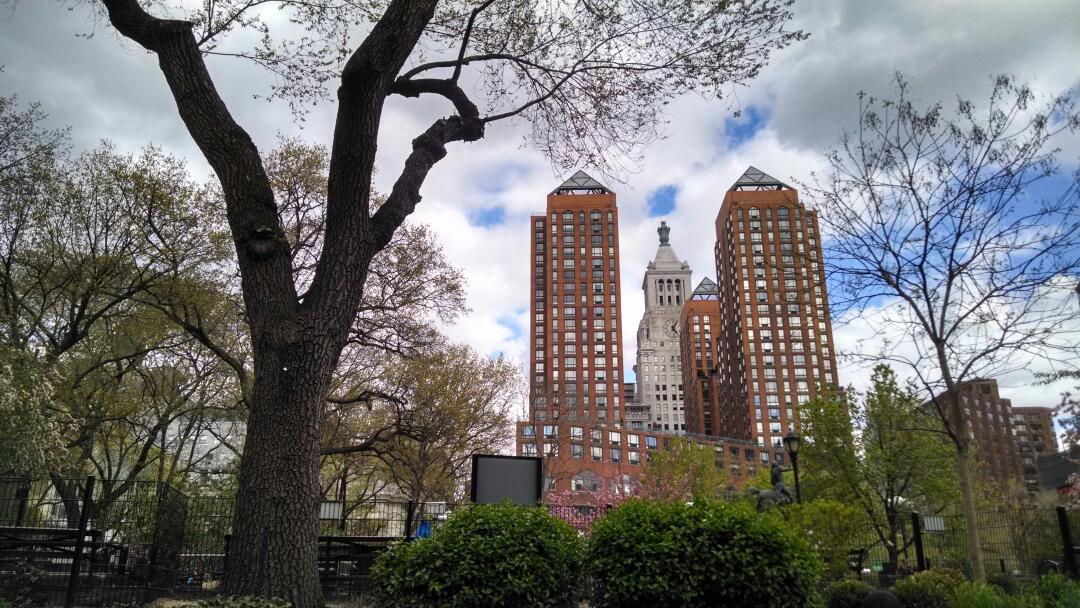 Photo of Union Square Park in New York City, New York, United States - 2 Picture of Point of interest, Establishment, Park