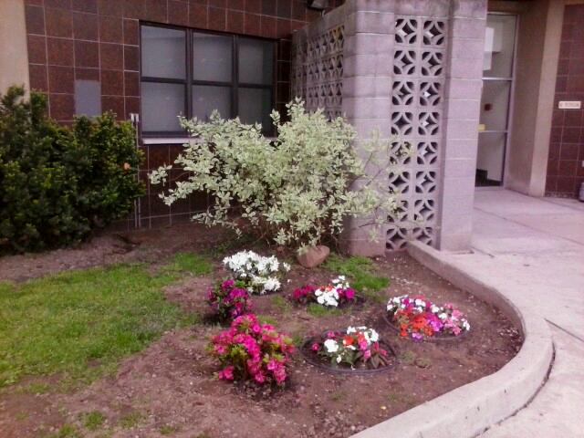 Photo of Post Gardens Senior Citizens in Bayonne City, New Jersey, United States - 4 Picture of Point of interest, Establishment