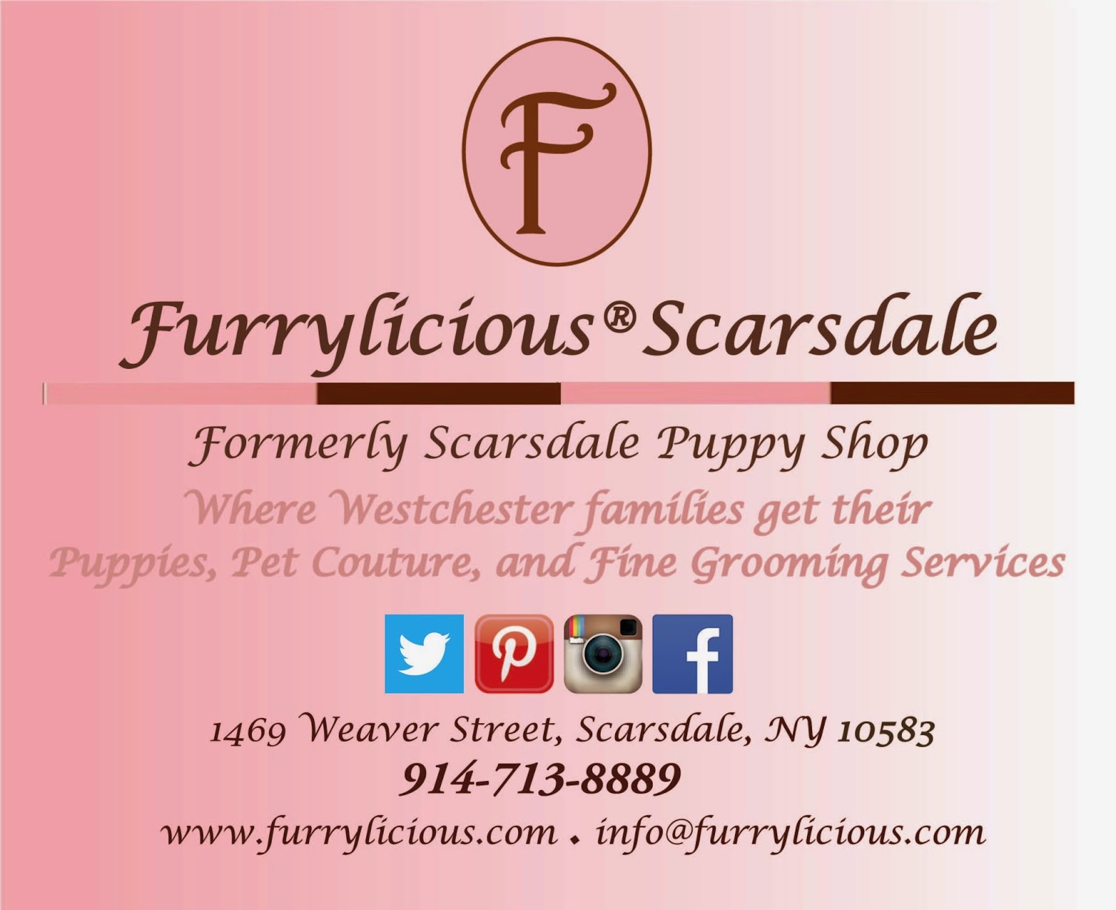 Photo of Furrylicious in Scarsdale City, New York, United States - 1 Picture of Point of interest, Establishment, Store, Pet store