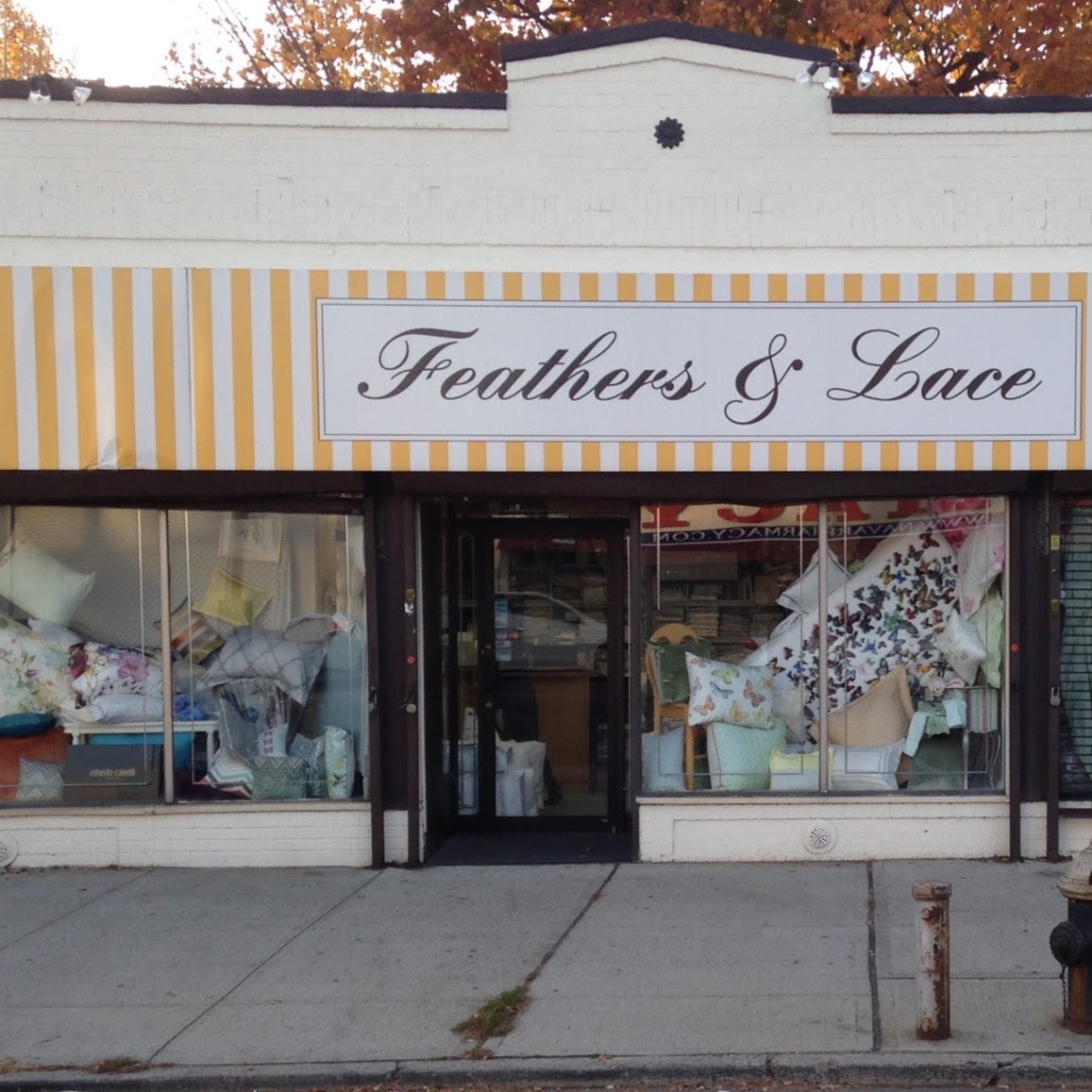 Photo of Feathers & Lace in Kings County City, New York, United States - 1 Picture of Point of interest, Establishment, Store, Home goods store