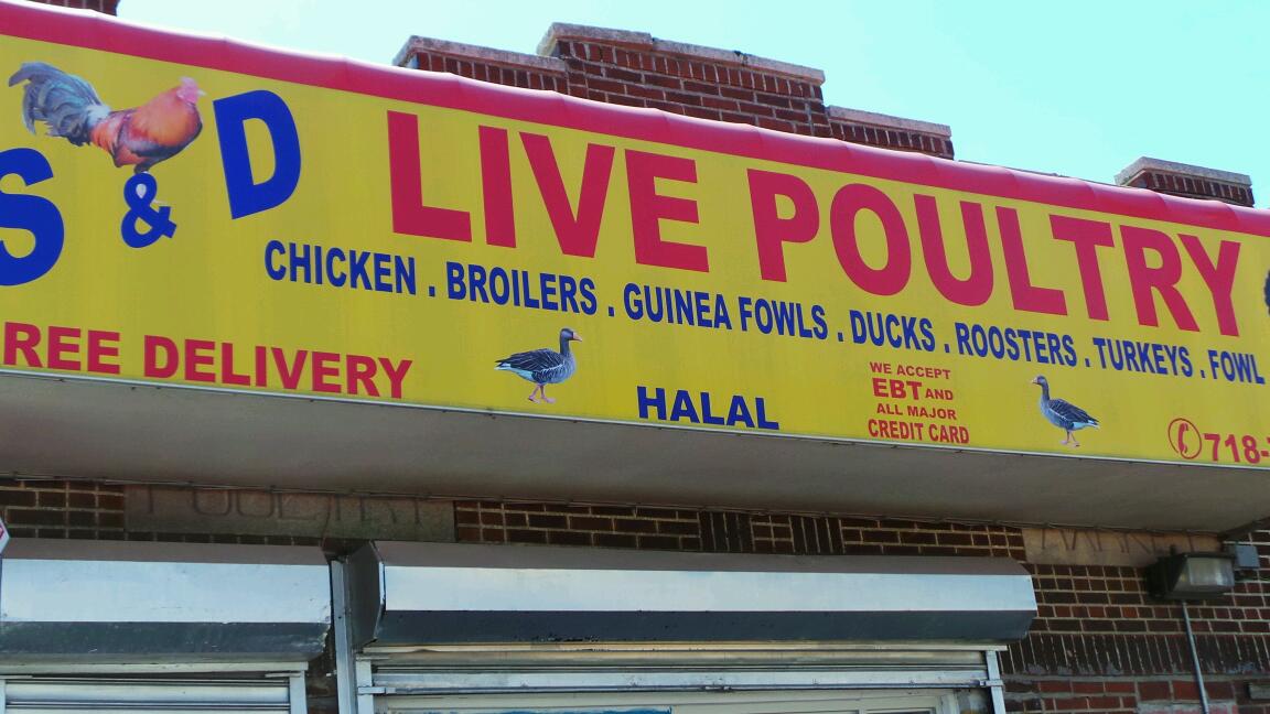 Photo of S & D Live Poultry Market in Jamaica City, New York, United States - 2 Picture of Food, Point of interest, Establishment, Store, Grocery or supermarket