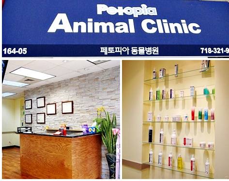 Photo of 페토피아 동물병원 in Queens City, New York, United States - 1 Picture of Point of interest, Establishment, Veterinary care