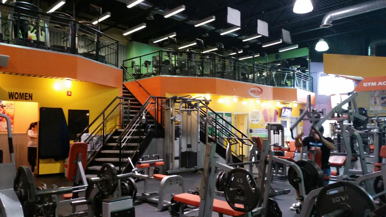 Photo of World Gym of Ridgewood in Queens City, New York, United States - 1 Picture of Point of interest, Establishment, Health, Gym