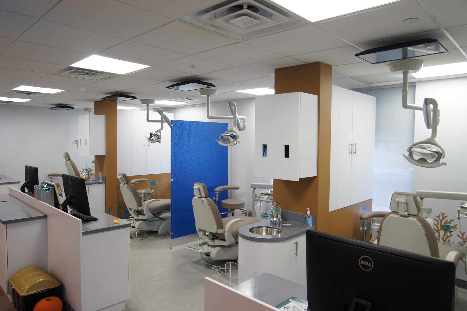 Photo of Lil Pearls Pediatric Dentistry in Queens City, New York, United States - 3 Picture of Point of interest, Establishment, Health, Doctor, Dentist