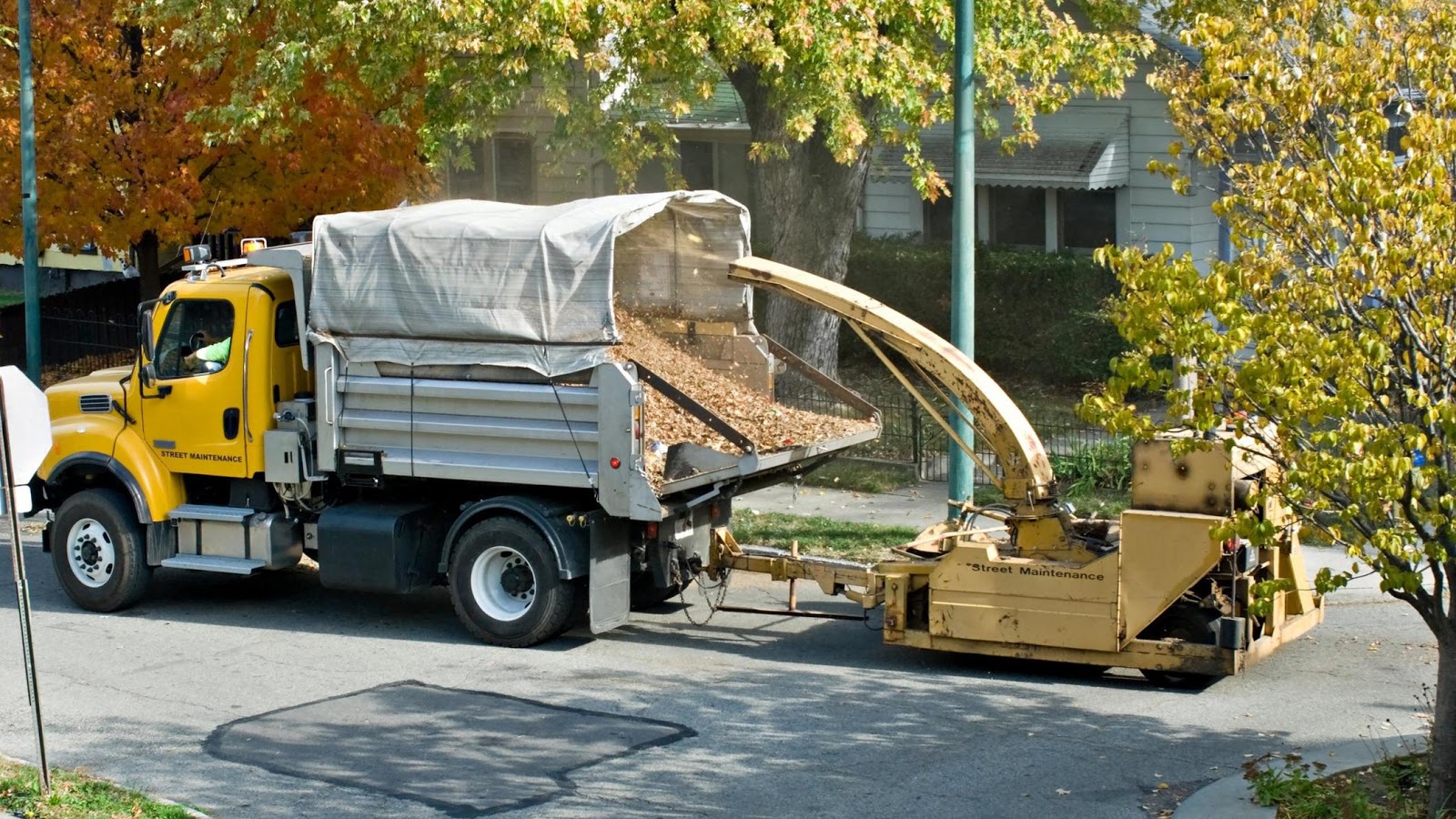 Photo of JRs Tree Services in Queens City, New York, United States - 3 Picture of Point of interest, Establishment