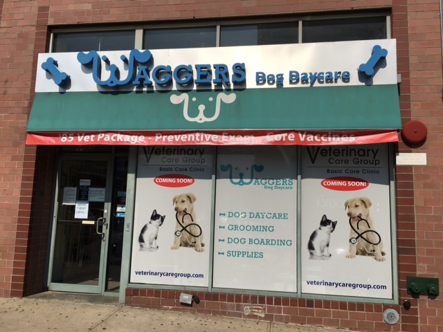 Photo of Veterinary Care Group Bayside in Queens City, New York, United States - 3 Picture of Point of interest, Establishment, Veterinary care