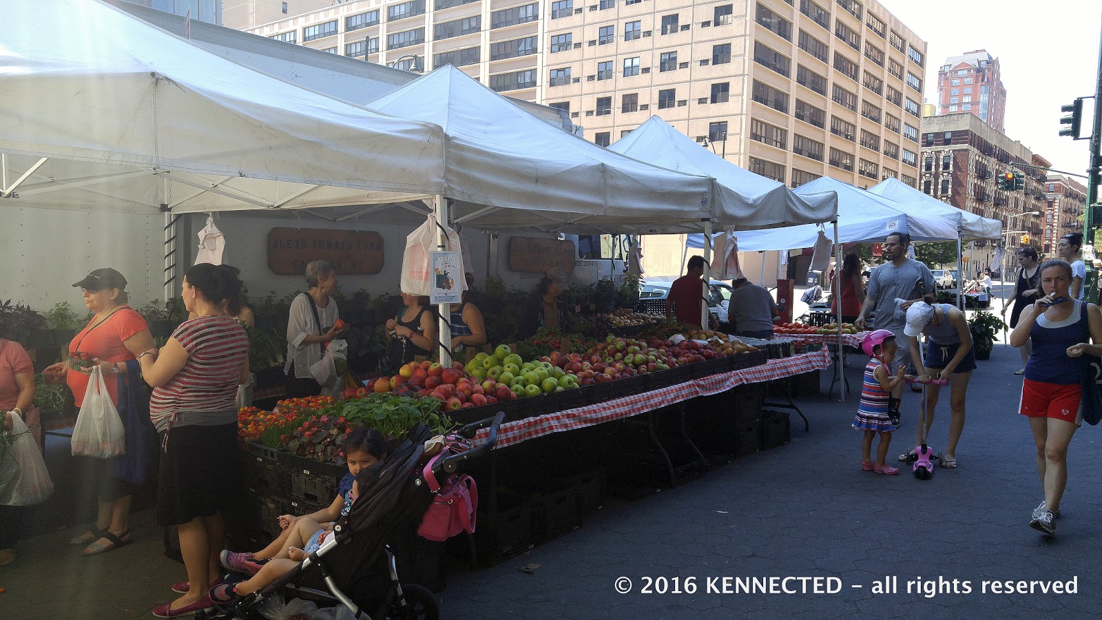 Photo of Down to Earth Farmers Market in New York City, New York, United States - 1 Picture of Food, Point of interest, Establishment