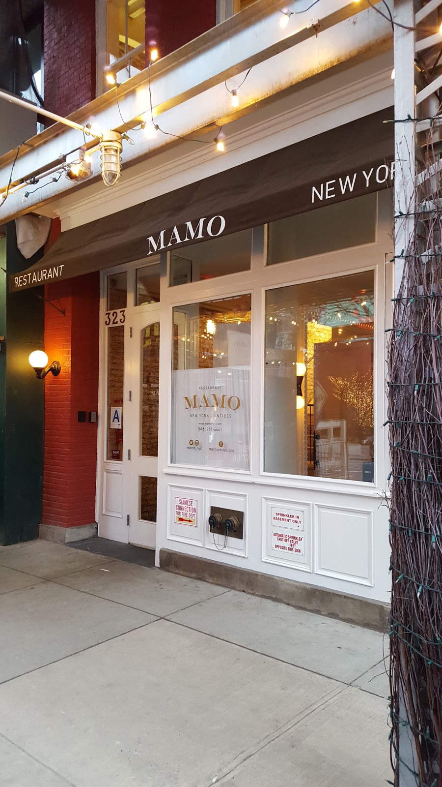 Photo of MAMO Restaurant in New York City, New York, United States - 1 Picture of Restaurant, Food, Point of interest, Establishment