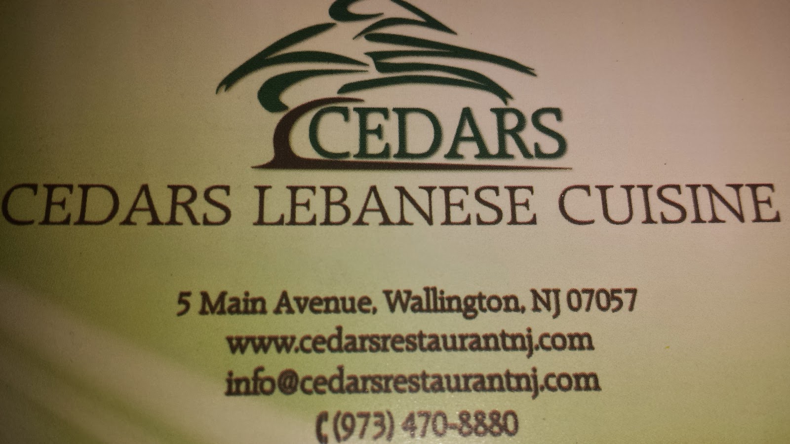 Photo of Cedars Lebanese Cuisine in Wallington City, New Jersey, United States - 9 Picture of Restaurant, Food, Point of interest, Establishment, Night club