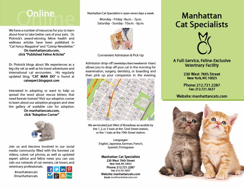 Photo of Manhattan Cat Specialists in New York City, New York, United States - 4 Picture of Point of interest, Establishment, Veterinary care