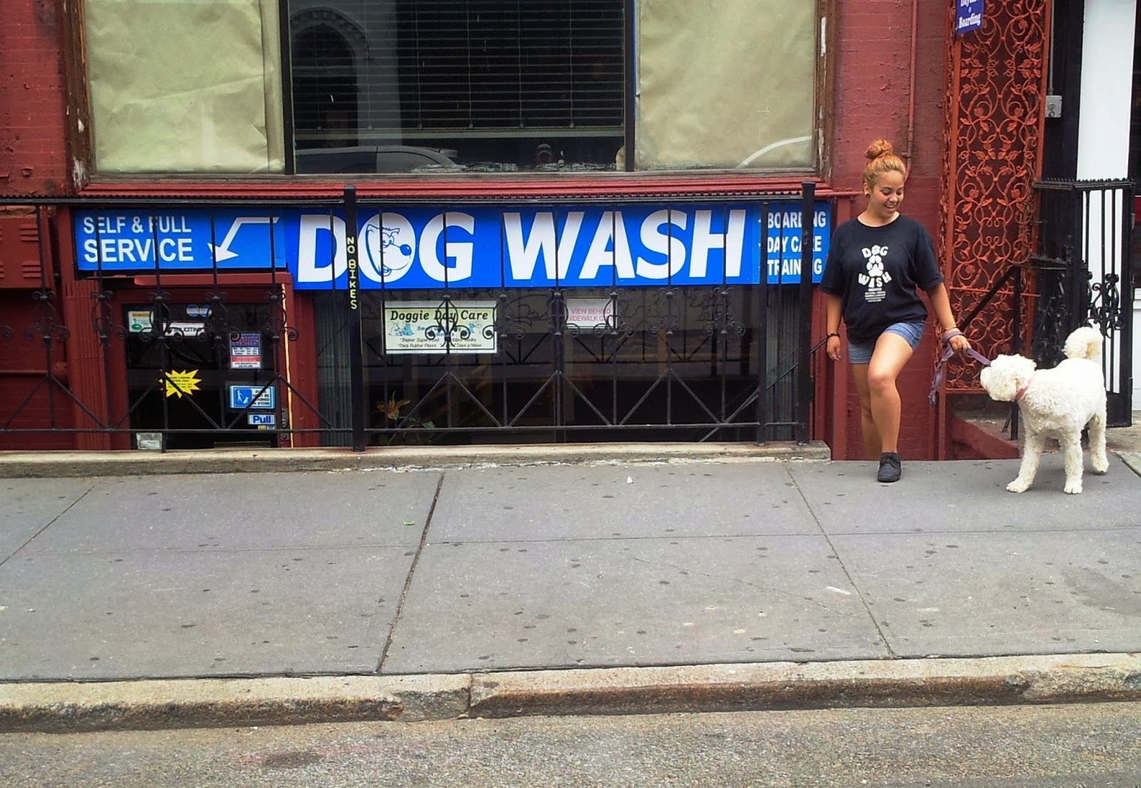 Photo of Dog Wash Doggie Daycare & Boarding NYC in New York City, New York, United States - 6 Picture of Point of interest, Establishment