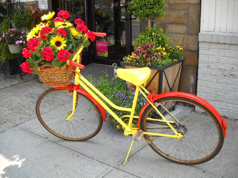 Photo of Mamaroneck Flowers in Mamaroneck City, New York, United States - 1 Picture of Point of interest, Establishment, Store, Florist