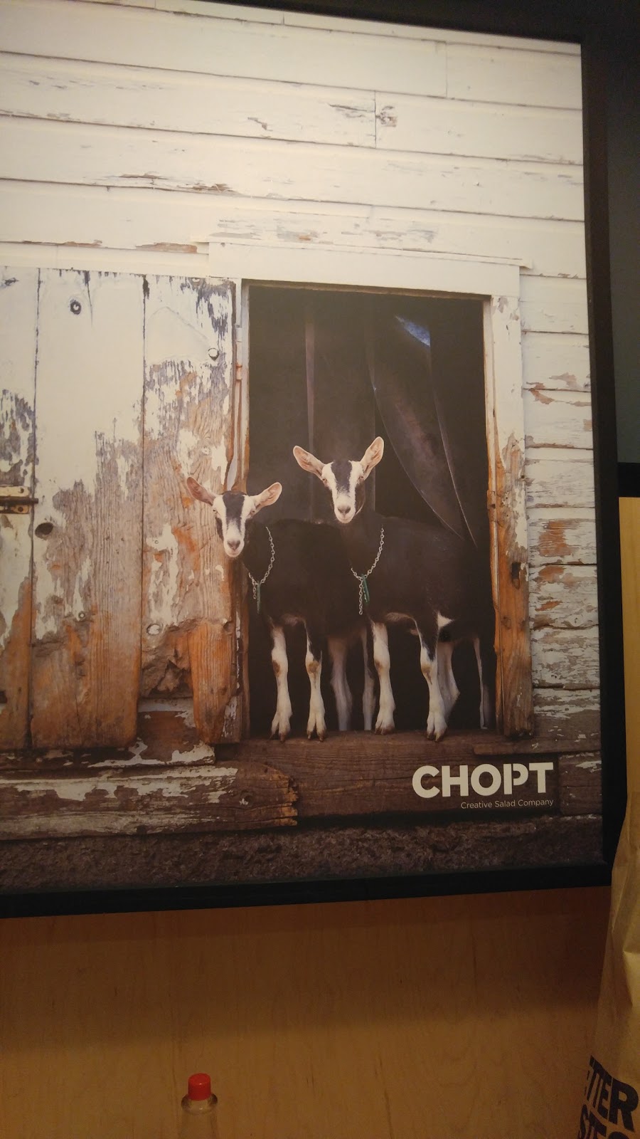 Photo of Chopt in New York City, New York, United States - 1 Picture of Restaurant, Food, Point of interest, Establishment