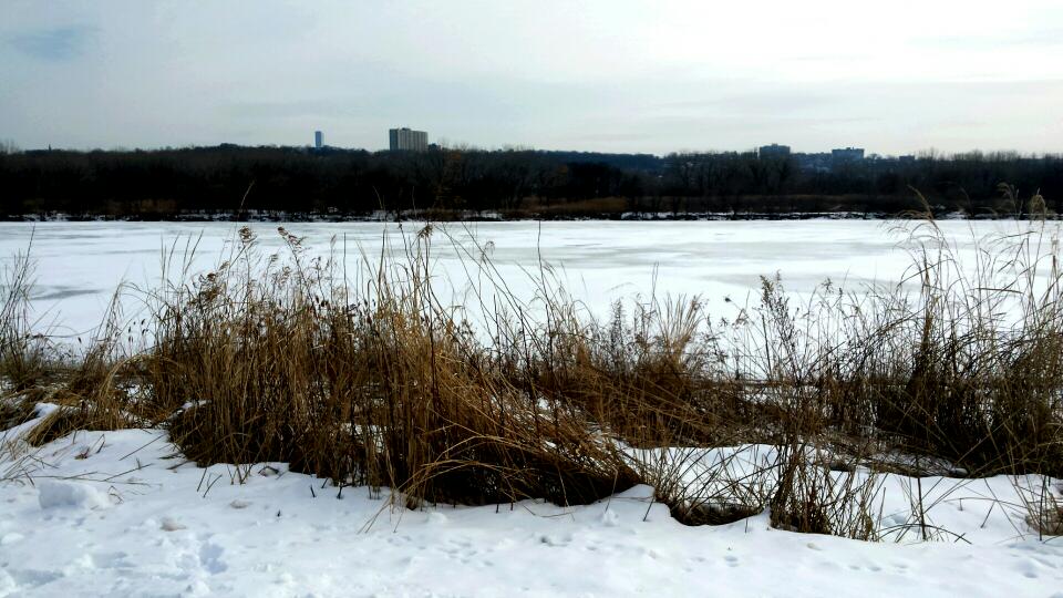 Photo of Overpeck County Park in Leonia City, New Jersey, United States - 8 Picture of Point of interest, Establishment, Park