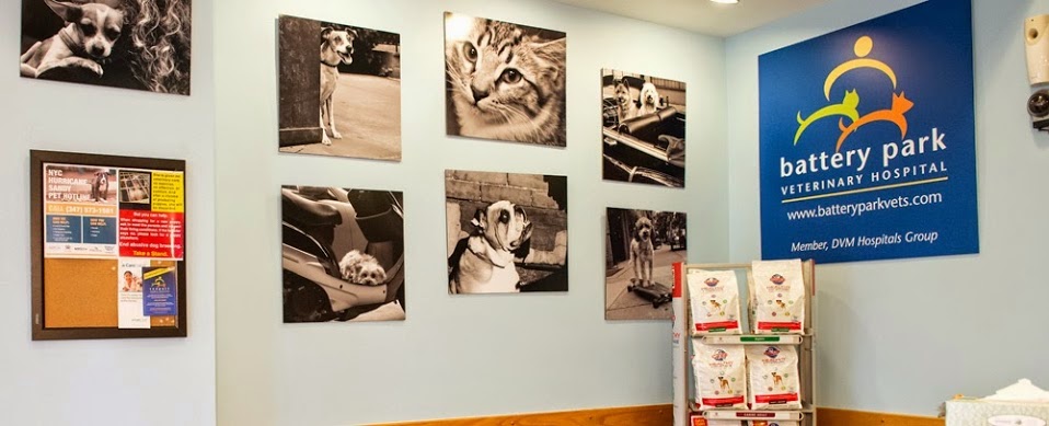 Photo of Battery Park Veterinary Hospital in New York City, New York, United States - 4 Picture of Point of interest, Establishment, Health, Dentist, Veterinary care