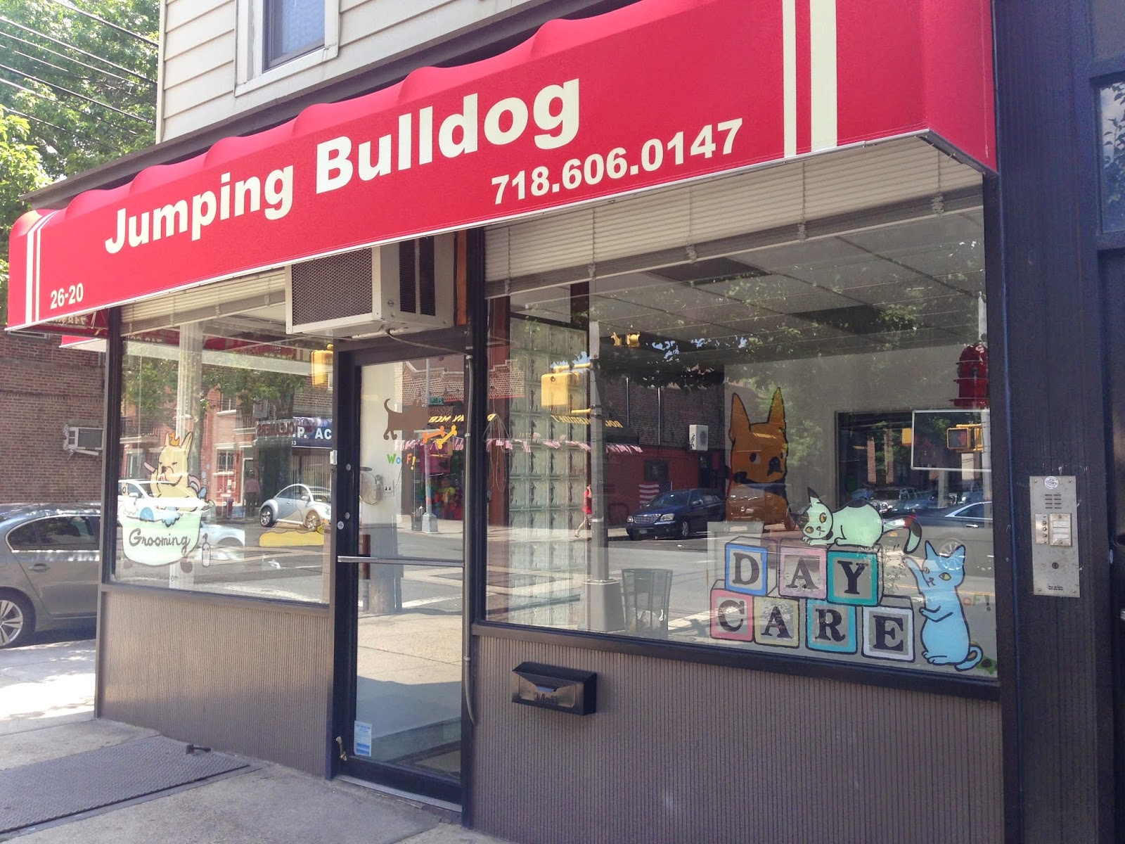 Photo of Jumping Bulldog Daycare & Boarding in New York City, New York, United States - 1 Picture of Point of interest, Establishment