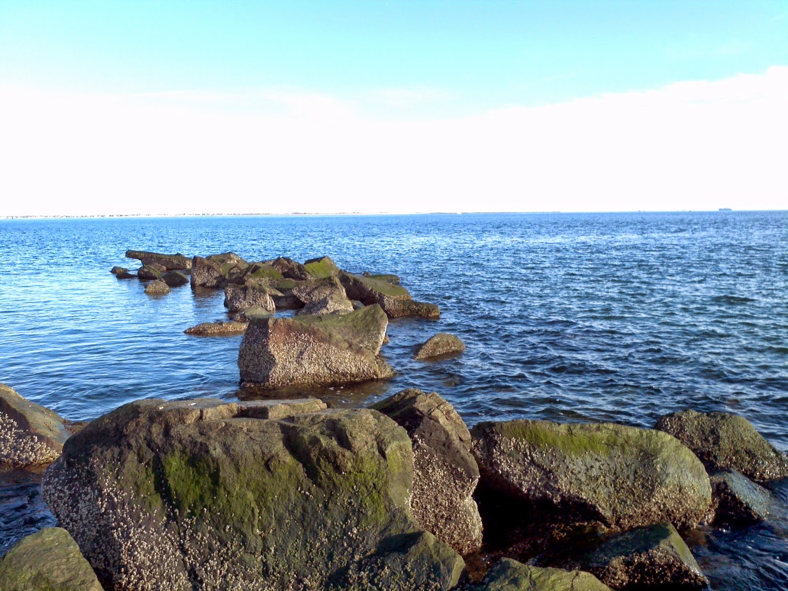 Photo of Coney Island Beach & Boardwalk in Brooklyn City, New York, United States - 9 Picture of Point of interest, Establishment, Natural feature