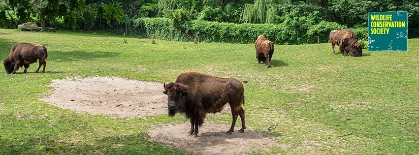 Photo of Queens Zoo in Corona City, New York, United States - 3 Picture of Point of interest, Establishment, Zoo