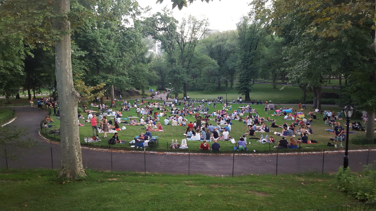 Photo of Summerstage in New York City, New York, United States - 9 Picture of Point of interest, Establishment