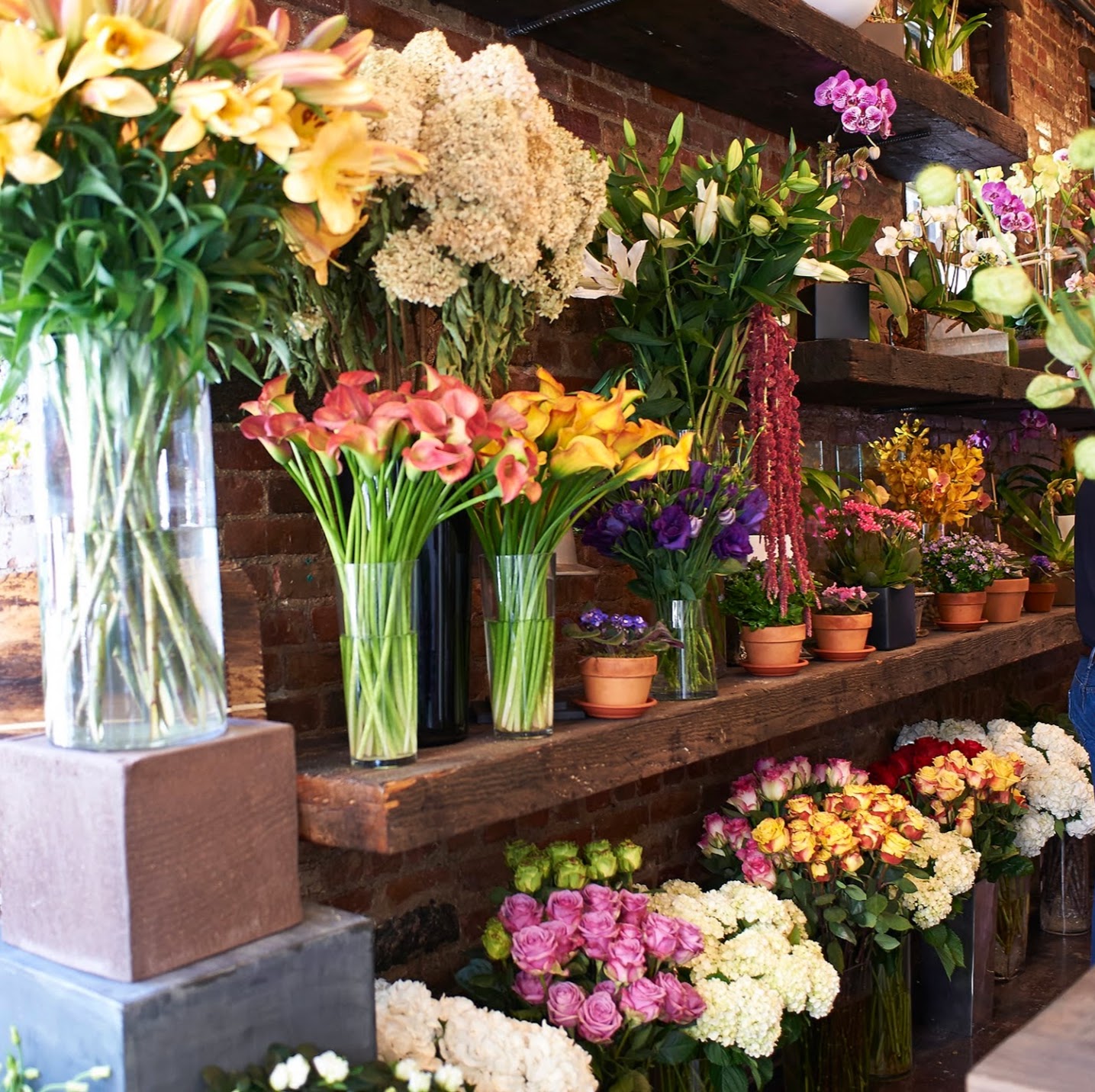 Photo of Design By Anthony Ortiz in New York City, New York, United States - 1 Picture of Point of interest, Establishment, Store, Florist