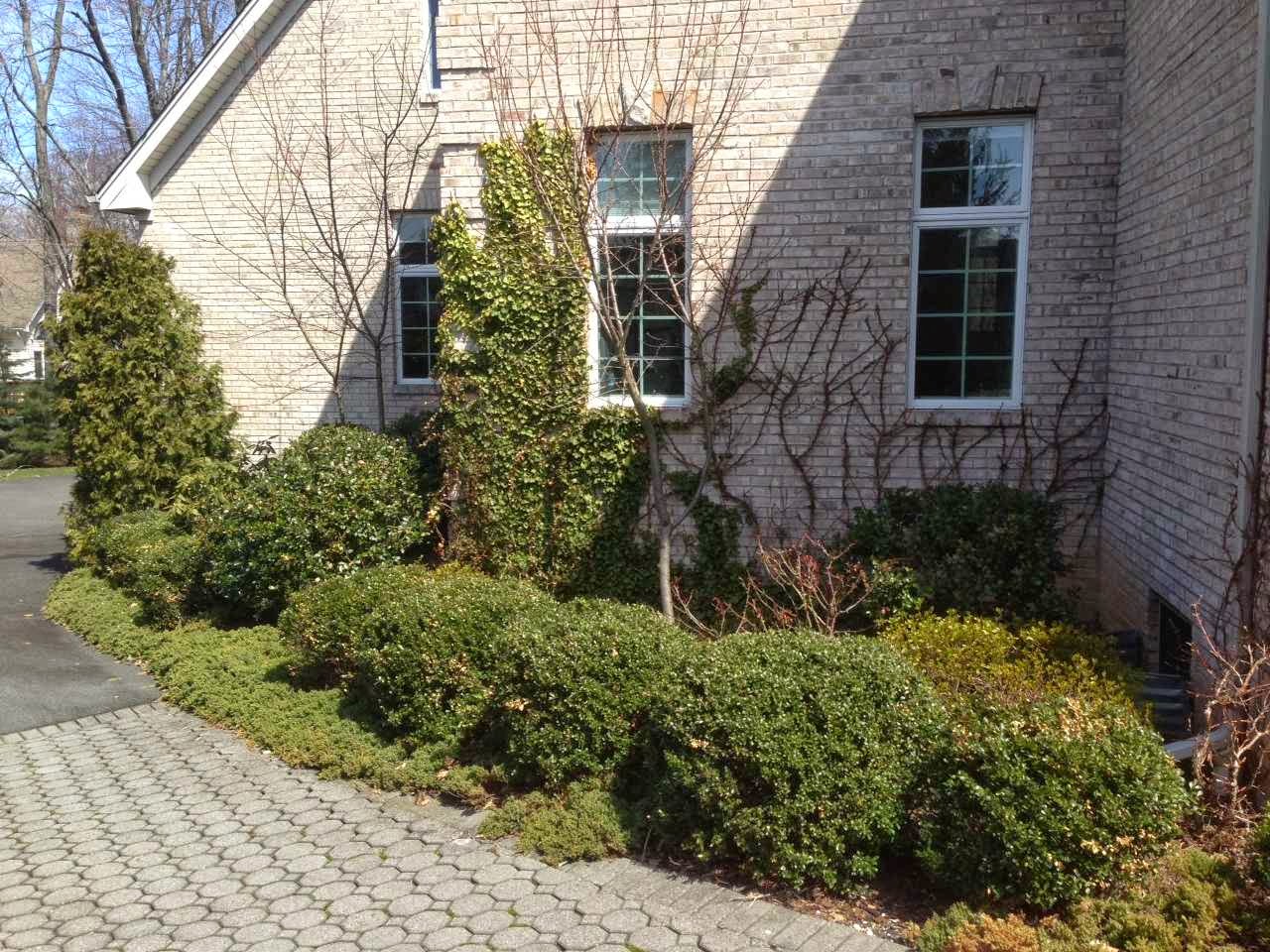 Photo of Steve Sywetz Landscaping in Bergenfield City, New Jersey, United States - 4 Picture of Point of interest, Establishment