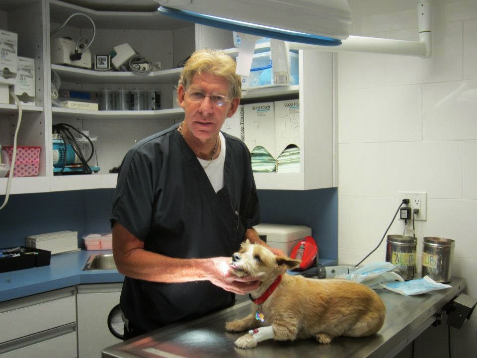 Photo of Howard Beach Animal Clinic PC in Howard Beach City, New York, United States - 6 Picture of Point of interest, Establishment, Veterinary care