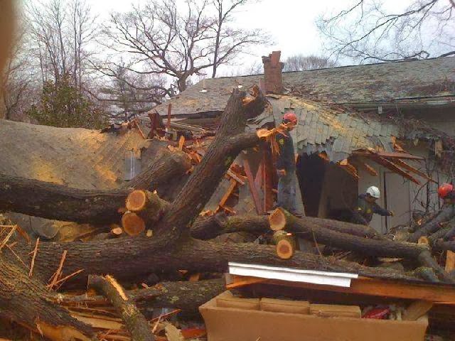 Photo of Hufnagel Tree Service - Middletown in Leonardo City, New Jersey, United States - 2 Picture of Food, Point of interest, Establishment, General contractor